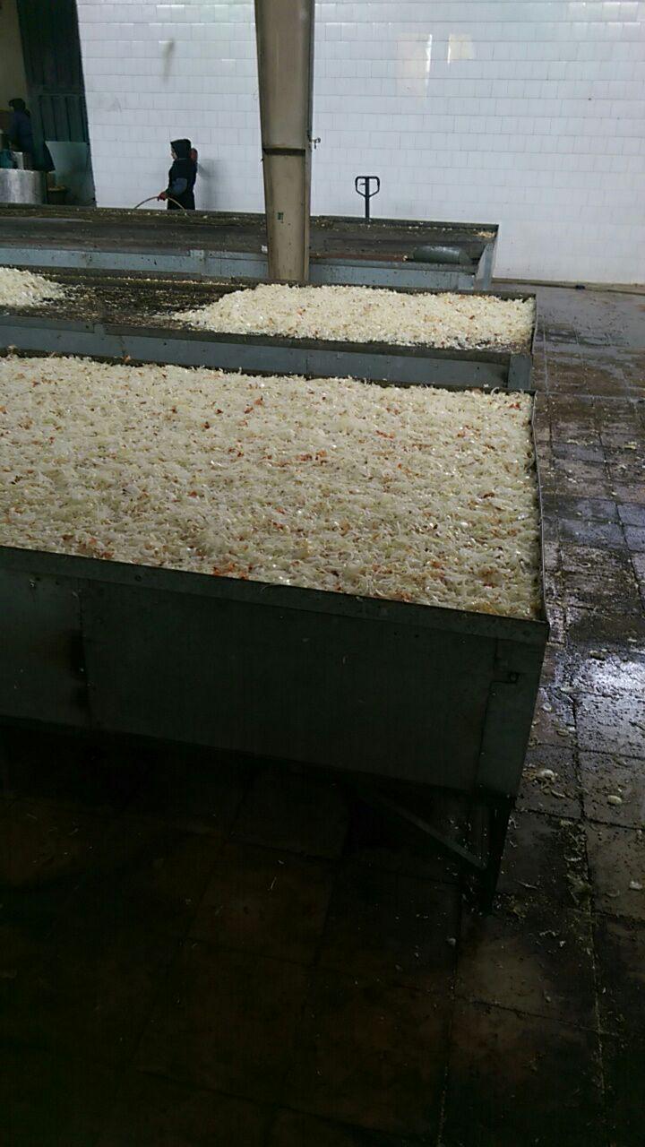 کارخانه تولید پیاز خشک