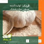 صادرات و تولید پودر سیر خالص ایرانی