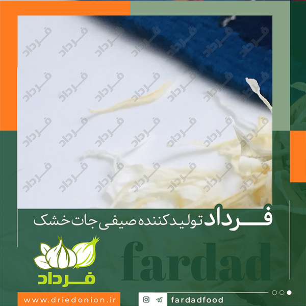 خرید و فروش مستقیم پیاز خشک خلالی از شرکت صنیاع غذایی فرداد